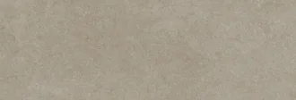 Rex Taupe