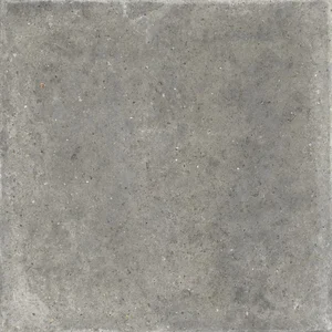 Керамогранит Ariana Anima Fango PF60006057 60x60 матовый
