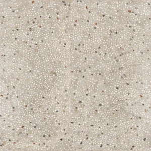 Керамогранит Ariana Anima Ghiaia Beige PF60007921 60x60 матовый