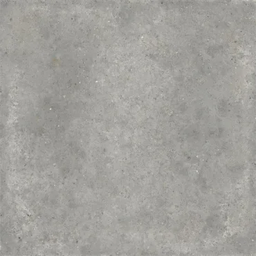 Керамогранит Ariana Anima Grigio PF60006058 60x60 матовый