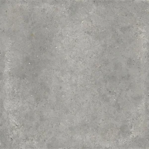 Керамогранит Ariana Anima Grigio PF60006058 60x60 матовый