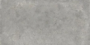 Керамогранит Ariana Anima Grigio PF60008672 120x280 матовый