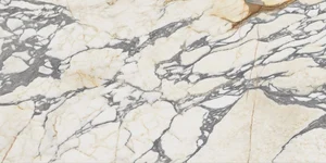 Керамогранит Ariana Epoque 21 Arabescato Antique 3D 0009341 60x120 лаппатированный