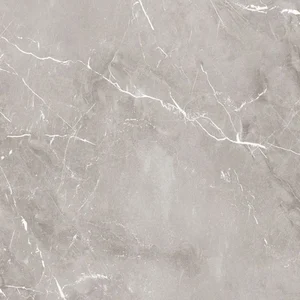 Керамогранит Ariana Epoque Grey Ret PF60004309 60x60 матовый