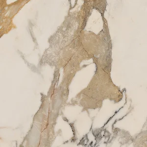 Керамогранит Ariana Epoque Ivory Ret PF60004306 60x60 матовый