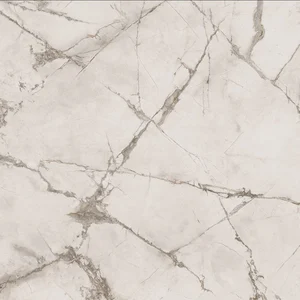 Керамогранит Ariana Epoque White Ret PF60004308 60x60 матовый