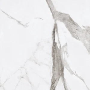 Керамогранит Ariana Epoque White Statuario Lap PF60004977 60x60 лаппатированный