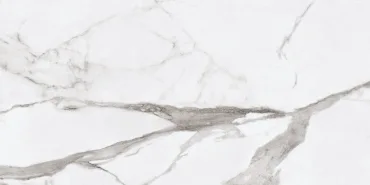 Керамогранит Ariana Epoque White Statuario Nat PF60005127 11,5x23 матовый