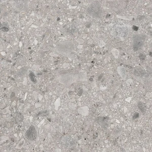 Керамогранит Ariana Futura Cenere PF60002946 120x120 матовый
