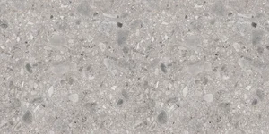 Керамогранит Ariana Futura Cenere PF60002949 60x120 матовый