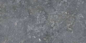 Memento Bruges Smok Ant PF60012321
