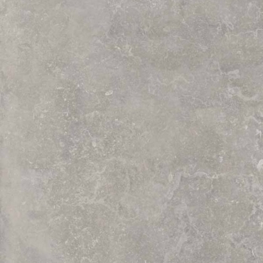 Керамогранит Ariana Memento Bruges Grey Nat PF60012333 80x80 натуральный