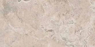 Memento Limoges Sand Ant PF60012318