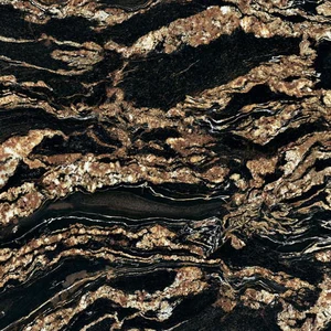 Керамогранит Ariana Nobile Black Taurus Lux PF60005360 120x120 полированный