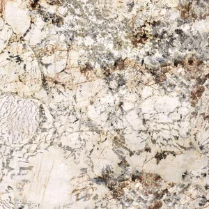 Керамогранит Ariana Nobile Blanc Du Blanc PF60006317 120x120 матовый