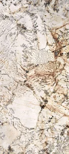 Керамогранит Ariana Nobile Blanc Du Blanc Slab A PF60006641 120x270 полированный