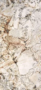 Керамогранит Ariana Nobile Blanc Du Blanc Slab B PF60006642 120x270 полированный