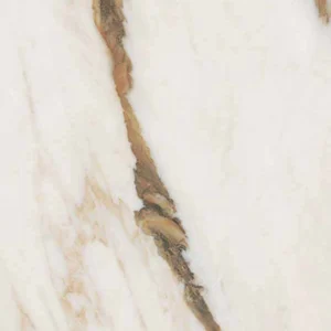 Керамогранит Ariana Nobile Calacatta Nat PF60009167 120x120 натуральный