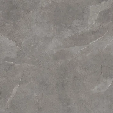 Керамогранит Ariana Storm Grey PF60003805 120x120 матовый