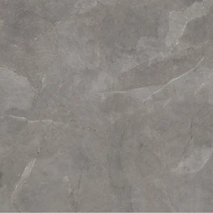 Керамогранит Ariana Storm Grey PF60003805 120x120 матовый