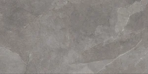 Керамогранит Ariana Storm Grey PF60003977 60x120 матовый