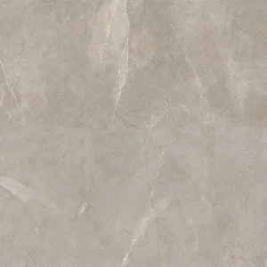 Керамогранит Ariana Storm Sand PF60004006 60x60 матовый