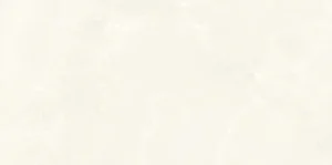 Керамогранит Ariostea Onice Bianco Extra Lev Silk 60x120 полированный