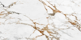 Calacatta Gold Honed