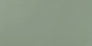 Плитка Atlas Concorde Italy Arkshade Sage 8AKF 40x80 матовая