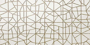 Декоративный элемент Atlas Concorde Italy Arkshade White Trace 8ATW 40x80 матовый