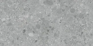 Керамогранит Art & Natura Ceppo Di Gre Gris Sand Coloured Body 60x120 матовый