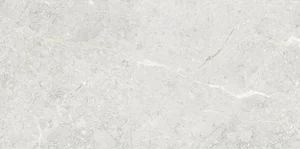 Керамогранит Art & Natura Una Pietra Silver Glossy 60x120 полированный