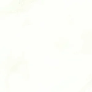 Керамогранит Art Ceramic Aragon White 60x60 полированный