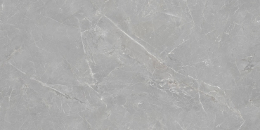 Керамогранит Artecera Fior Di Bosco Silver Rectificado AC126205B 60x120 матовый