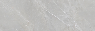 Fior Di Bosco Silver Rectificado AC93205B