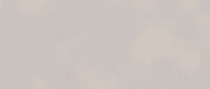 Керамогранит Atlas Concorde Italy Boost Color Dove AKMY 50x120 матовый