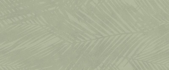 Boost Expression Life Olive AZ6A