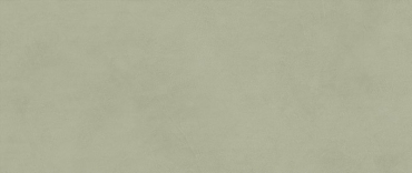 Керамогранит Atlas Concorde Italy Boost Expression Olive AYR7 50x120 матовый