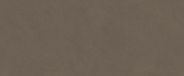 Керамогранит Atlas Concorde Italy Boost Natural Pro Coffe AQ6S 50x120 матовый