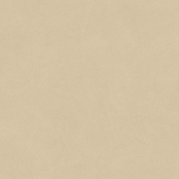 Керамогранит Atlas Concorde Italy Boost Natural Pro Sand A9RN 80x80 матовый