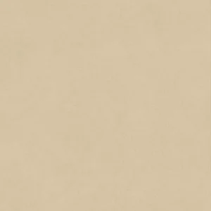 Керамогранит Atlas Concorde Italy Boost Natural Pro Sand A9RN 80x80 матовый