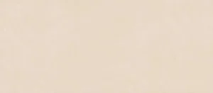 Керамогранит Atlas Concorde Italy Boost Natural Kaolin 6mm A67B 120x278 матовый