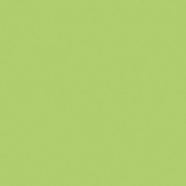Керамогранит Atlas Concorde Italy Greencolors Lime 2I0O 20x20 матовый