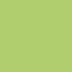 Керамогранит Atlas Concorde Italy Greencolors Lime 2I0O 20x20 матовый