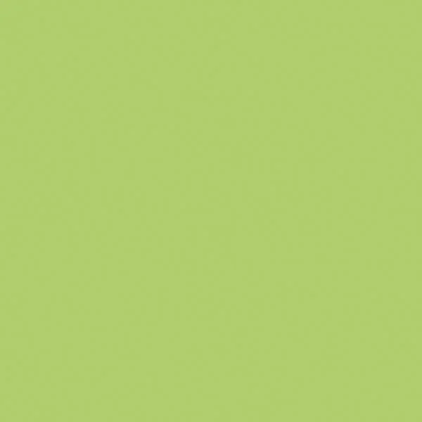 Керамогранит Atlas Concorde Italy Greencolors Lime 2I0O 20x20 матовый