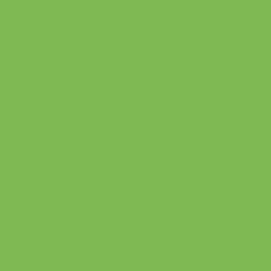 Керамогранит Atlas Concorde Italy Greencolors Prato 2I0P 20x20 матовый