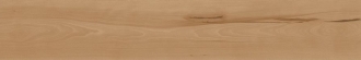 Log Cansei Fenice AX7A