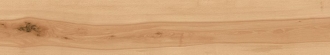 Log Cansei Murano AX7G