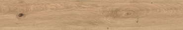Керамогранит Atlas Concorde Italy Log Icon Oak AX3A 20x120 матовый