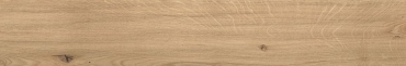Керамогранит Atlas Concorde Italy Log Icon Oak Forest Grip AX4H 20x120 противоскользящий